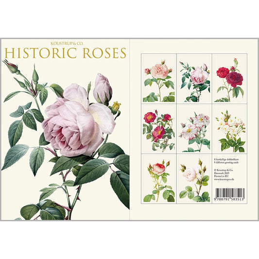 Postikortit Historic Roses 8 kpl