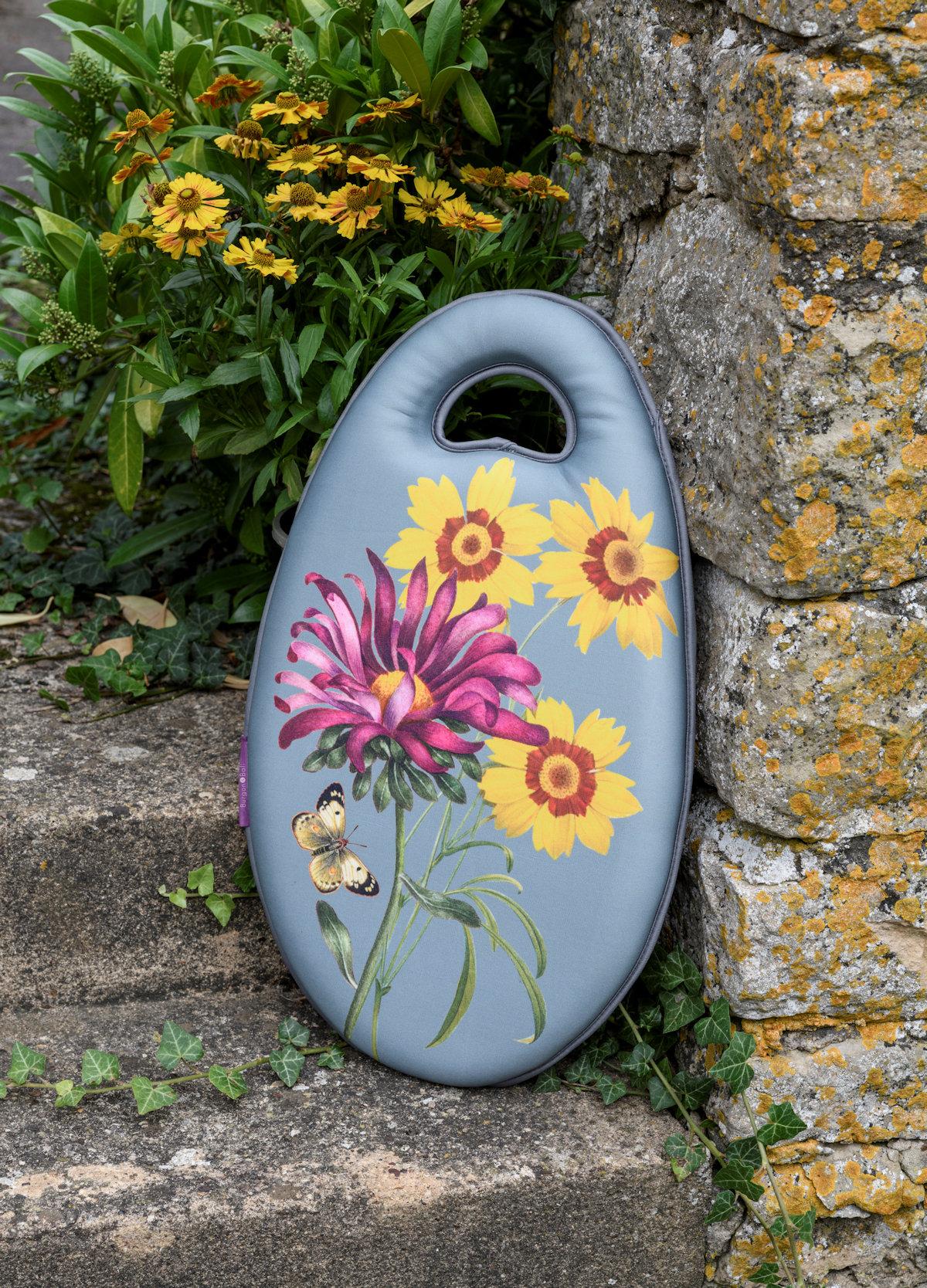 Polvipehmuste rikkaruohojen kitkentään Asteraceae