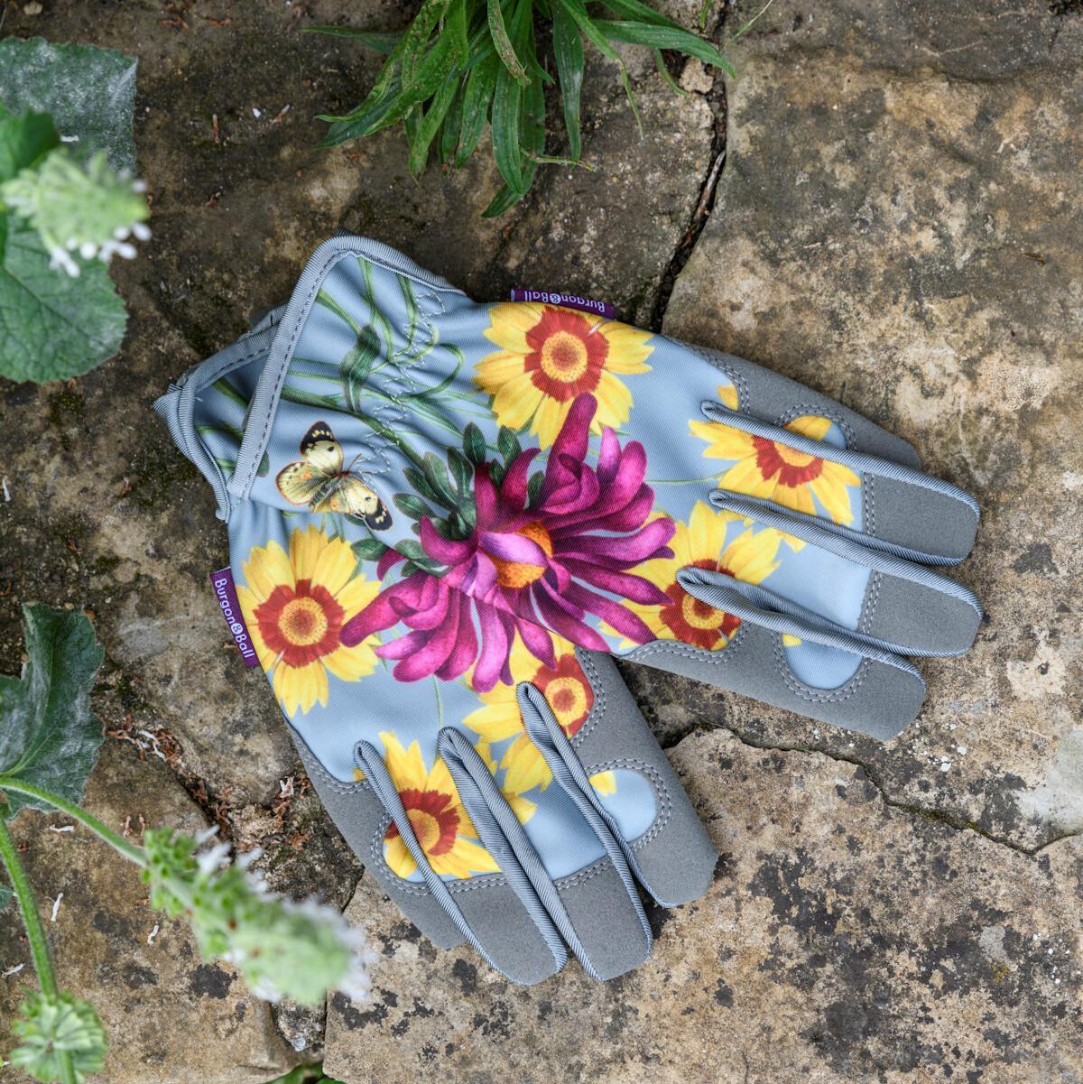 Puutarhakäsineet Asteraceae