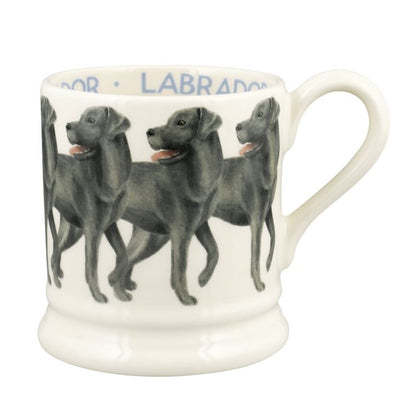 Muki Labradorinnoutaja - Black Labrador
