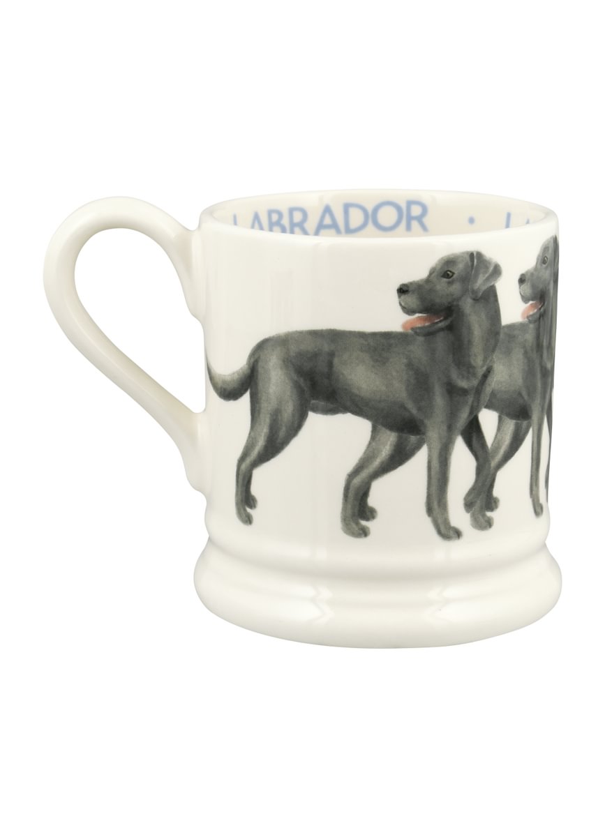 Muki Labradorinnoutaja - Black Labrador