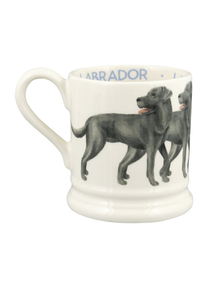 Muki Labradorinnoutaja - Black Labrador
