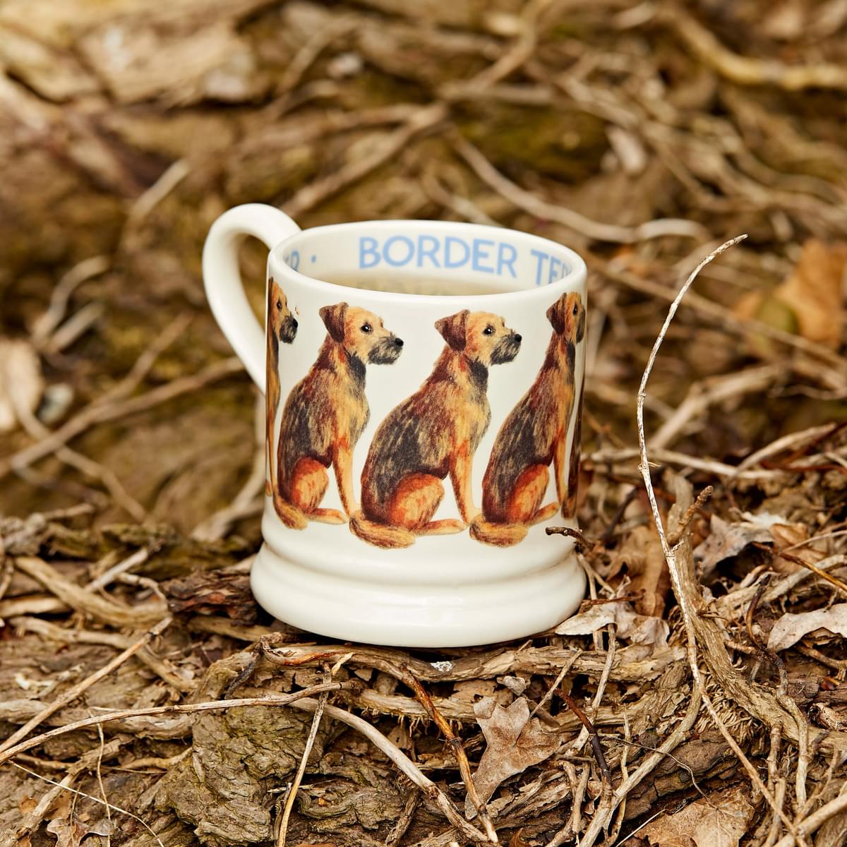 Muki Borderterrieri - Border Terrier