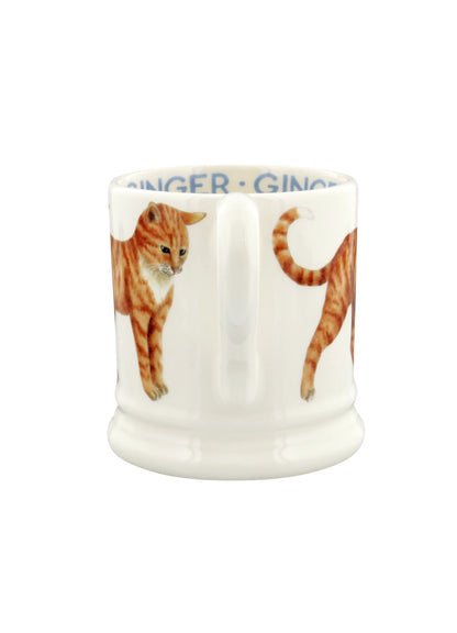 Muki Oranssi kissa - Ginger Cat