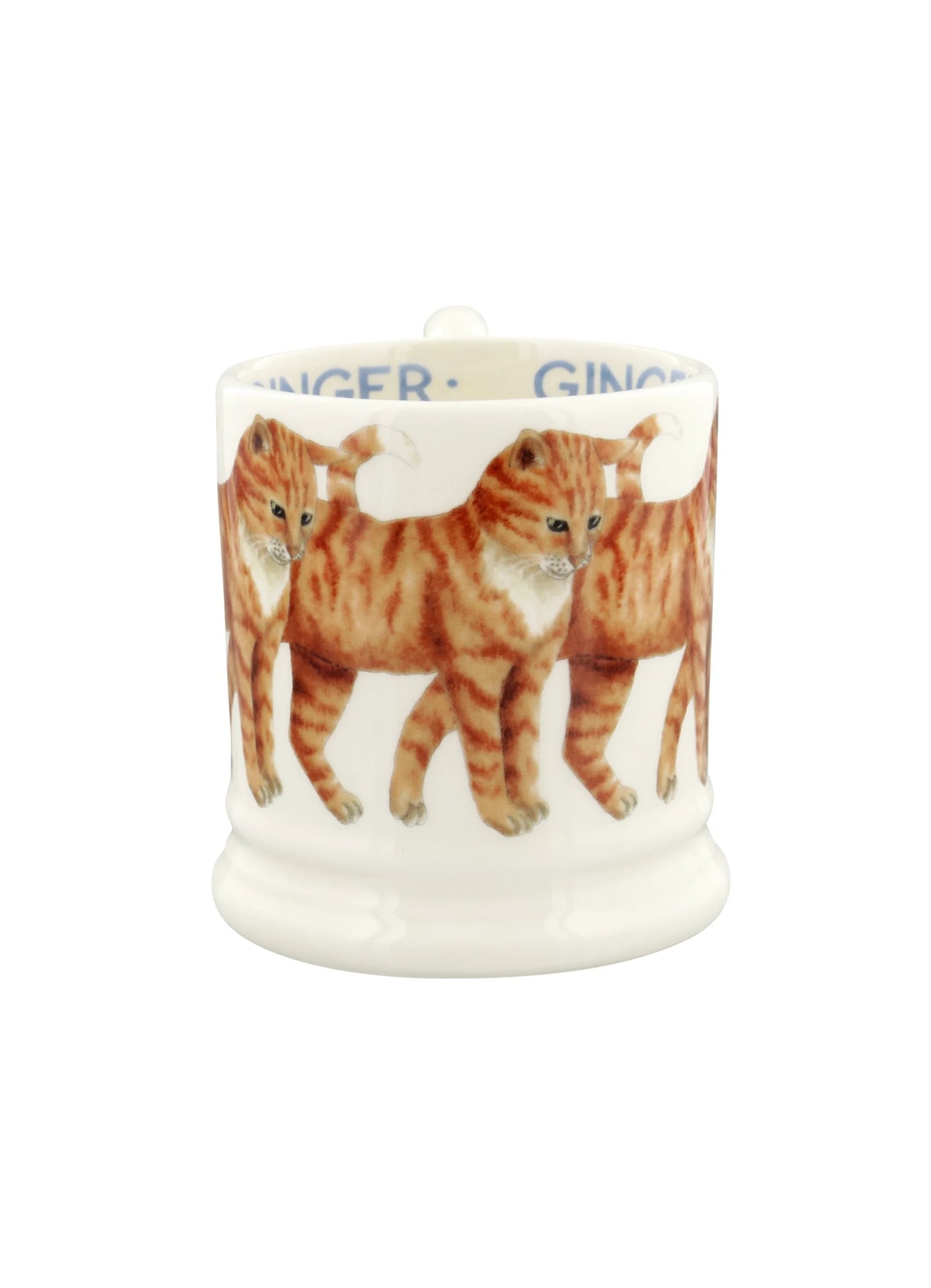 Muki Oranssi kissa - Ginger Cat