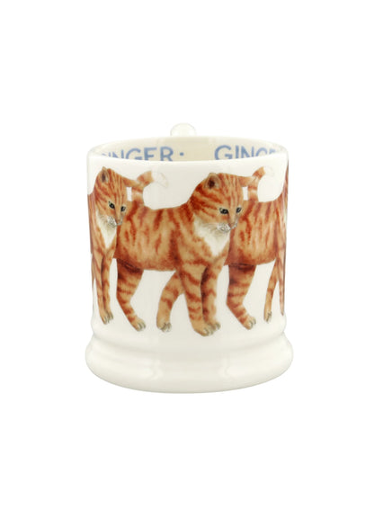 Muki Oranssi kissa - Ginger Cat