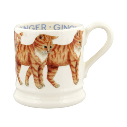 Muki Oranssi kissa - Ginger Cat