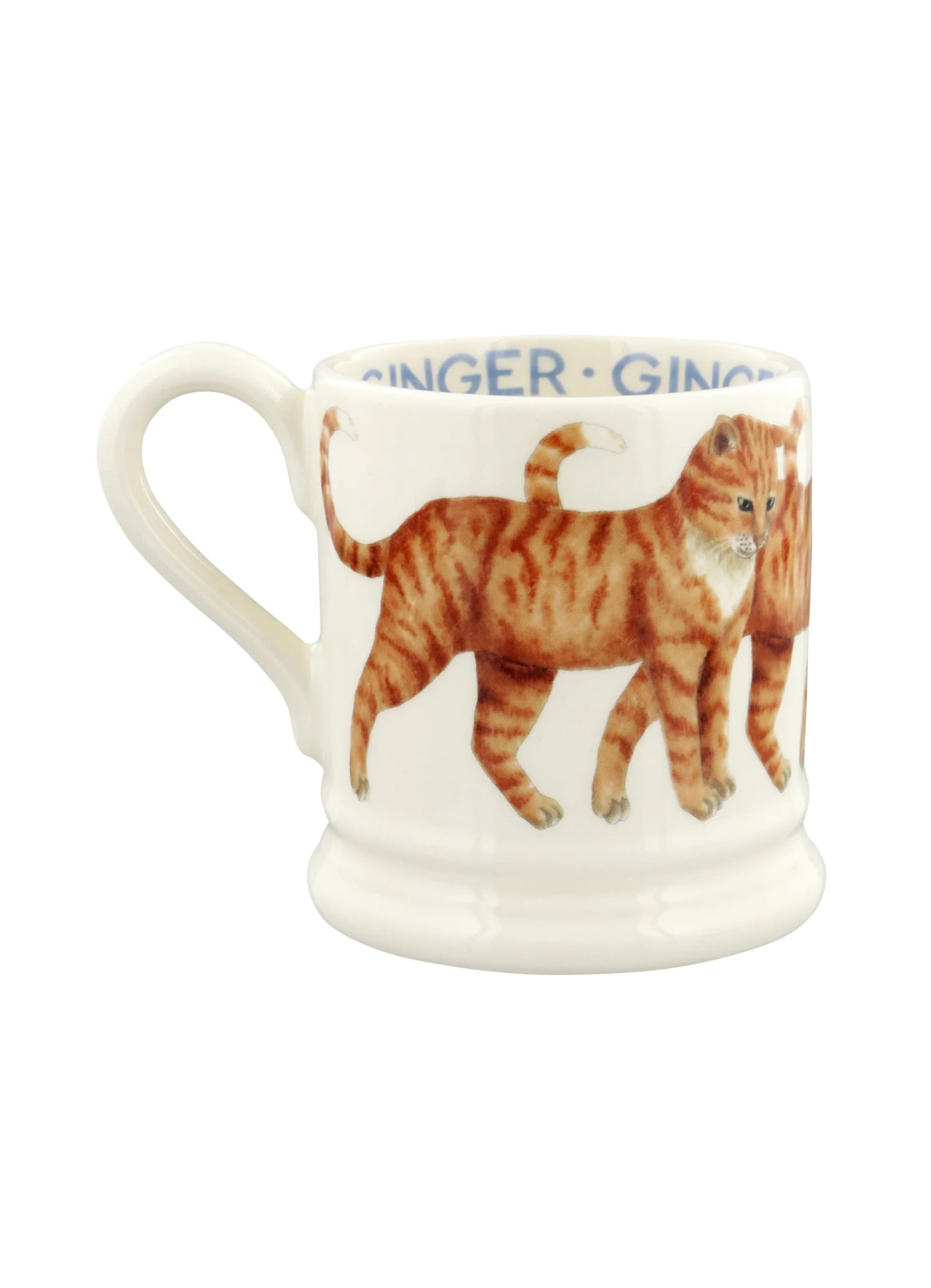 Muki Oranssi kissa - Ginger Cat