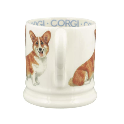 Muki Corgi - Pembroke Welsh Corgi