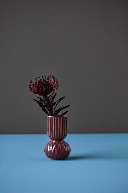 Maljakko Ruffelbell Aubergine - Samsurium