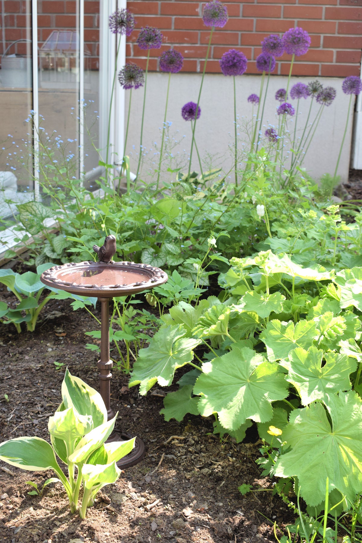 Jalallinen kylpyallas / juoma-allas linnuille, korkeus 39 cm