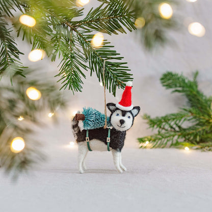 Husky ja kuusi huopakoriste
