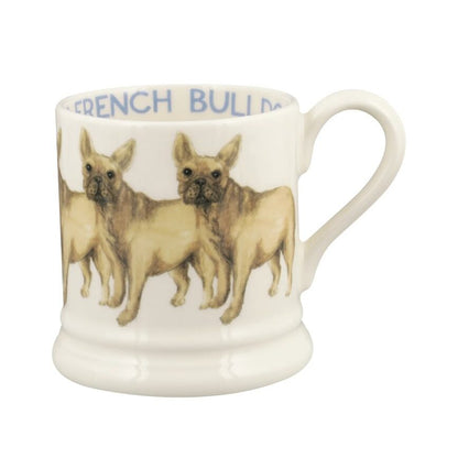 Muki Ranskanbuldoggi - French Bulldog