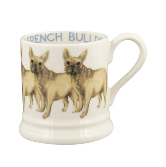 Muki Ranskanbuldoggi - French Bulldog