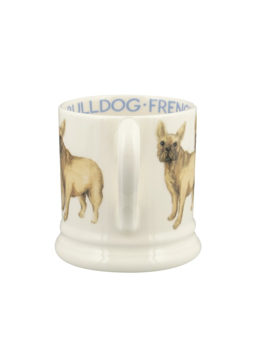 Muki Ranskanbuldoggi - French Bulldog