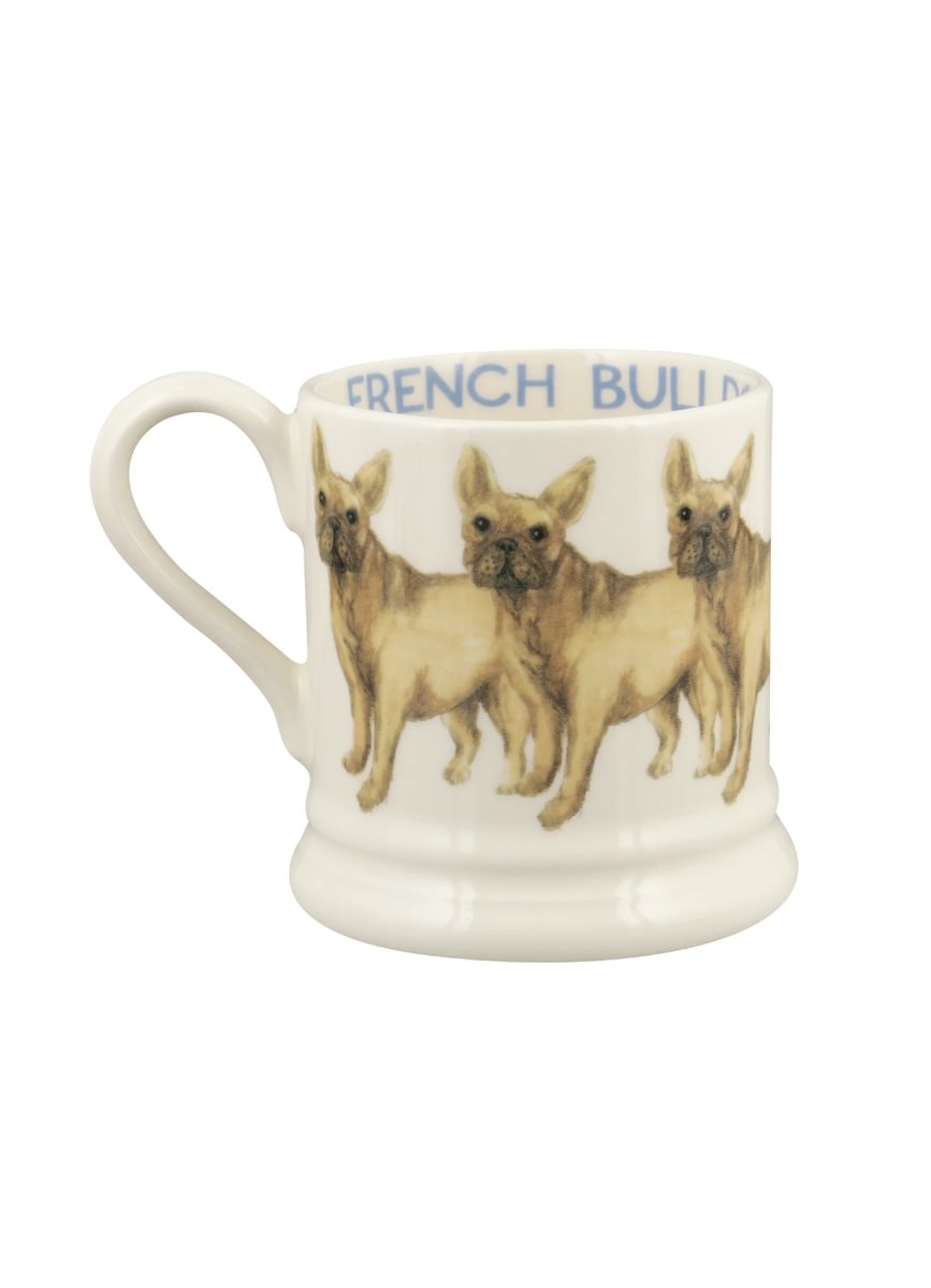 Muki Ranskanbuldoggi - French Bulldog