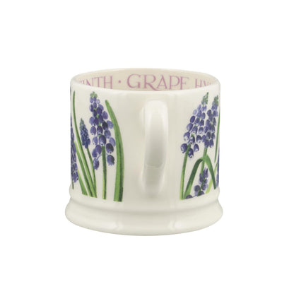 Pieni muki Helmililja - Grape Hyacints