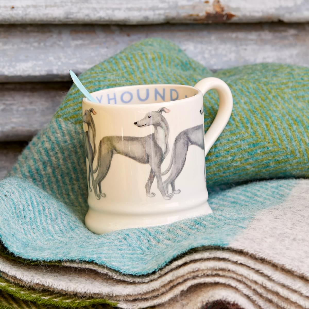 Muki Englanninvinttikoira - Greyhound
