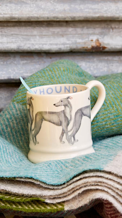 Muki Englanninvinttikoira - Greyhound