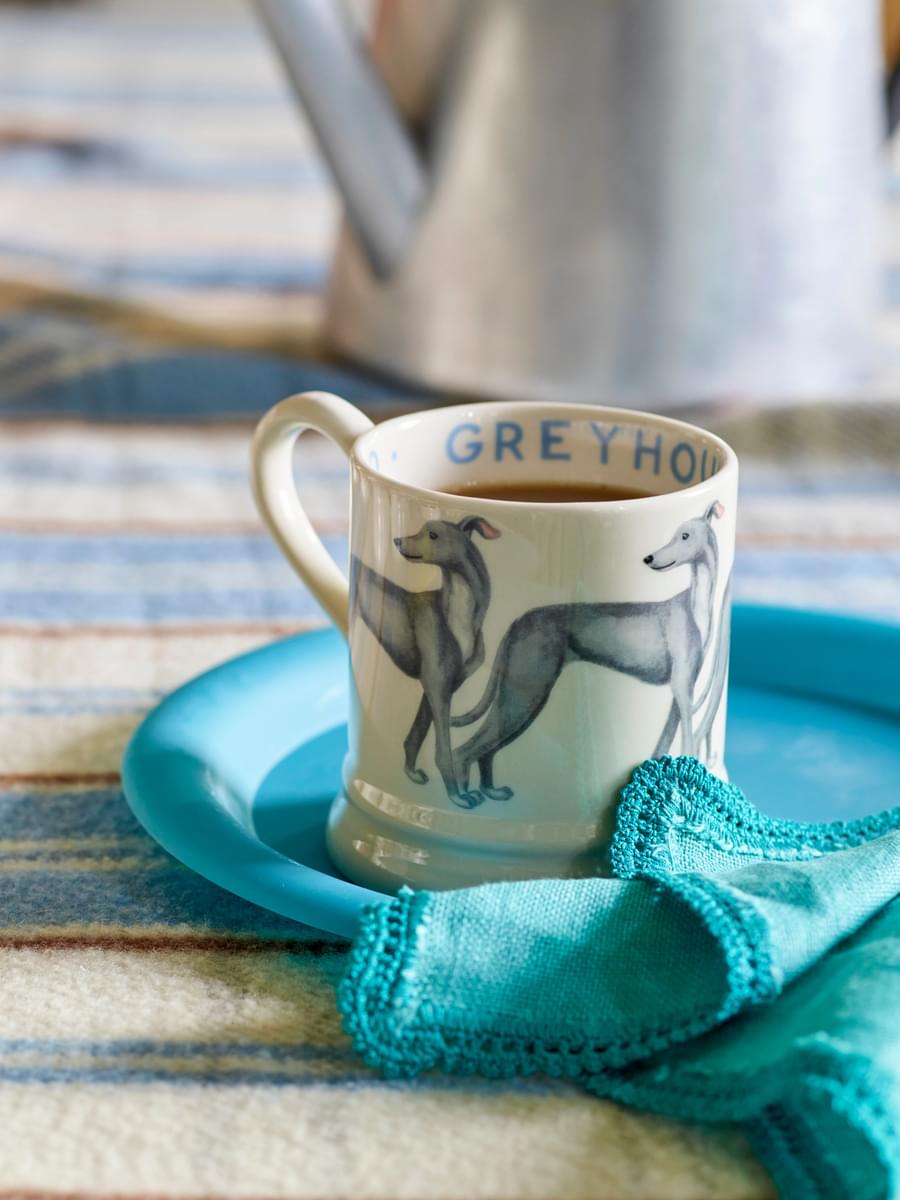 Muki Englanninvinttikoira - Greyhound