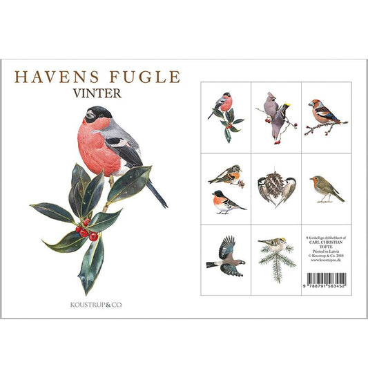 Postikortit Puutarhan linnut Talvi - Garden Birds Winter 8 kpl