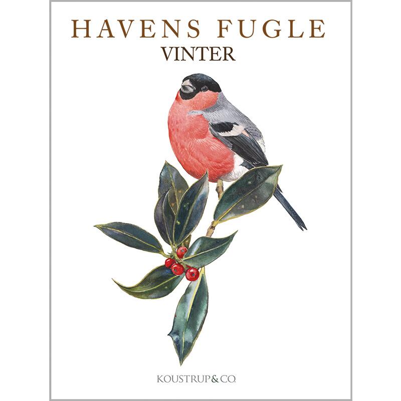 Postikortit Puutarhan linnut Talvi - Garden Birds Winter 8 kpl