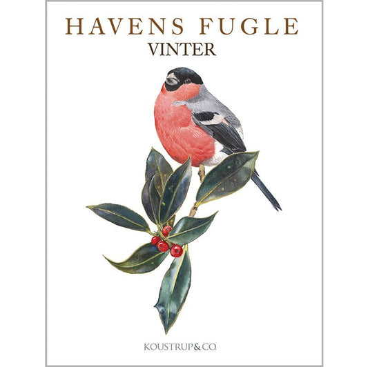 Postikortit Puutarhan linnut Talvi - Garden Birds Winter 8 kpl
