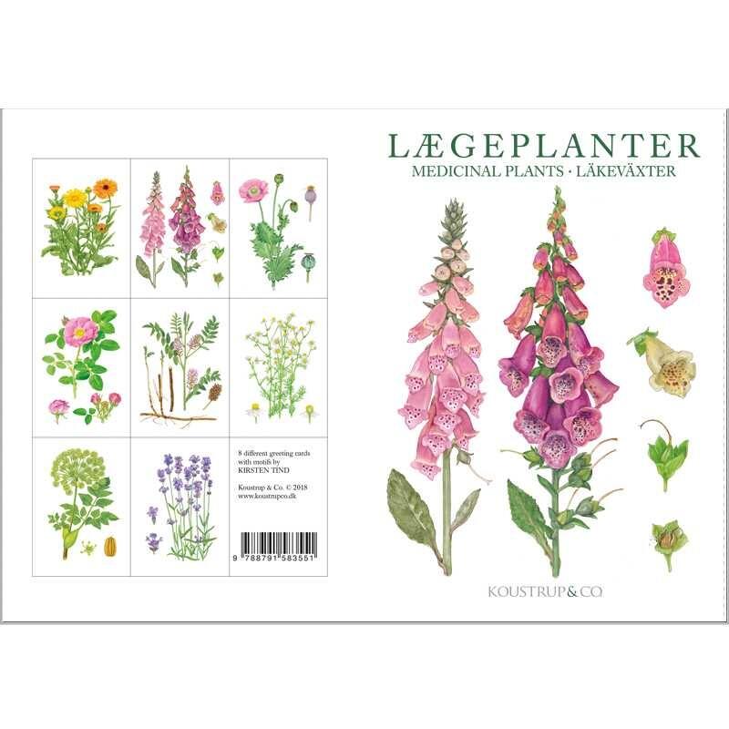 Postikortit Lääkekasvit - Medical Plants 8 kpl