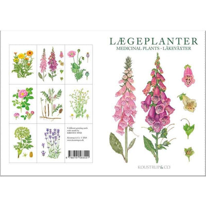 Postikortit Lääkekasvit - Medical Plants 8 kpl
