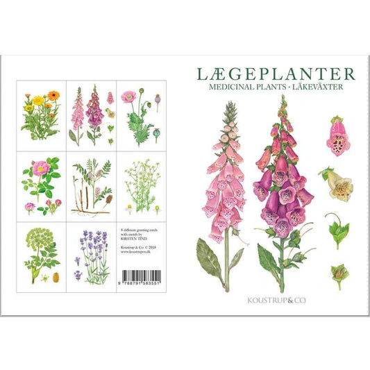 Postikortit Lääkekasvit - Medical Plants 8 kpl