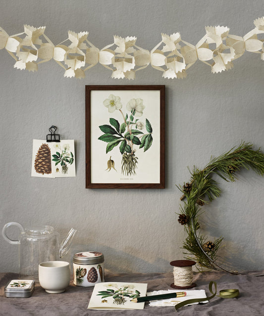 Kehykset kasvitaululle 18 x 24 cm