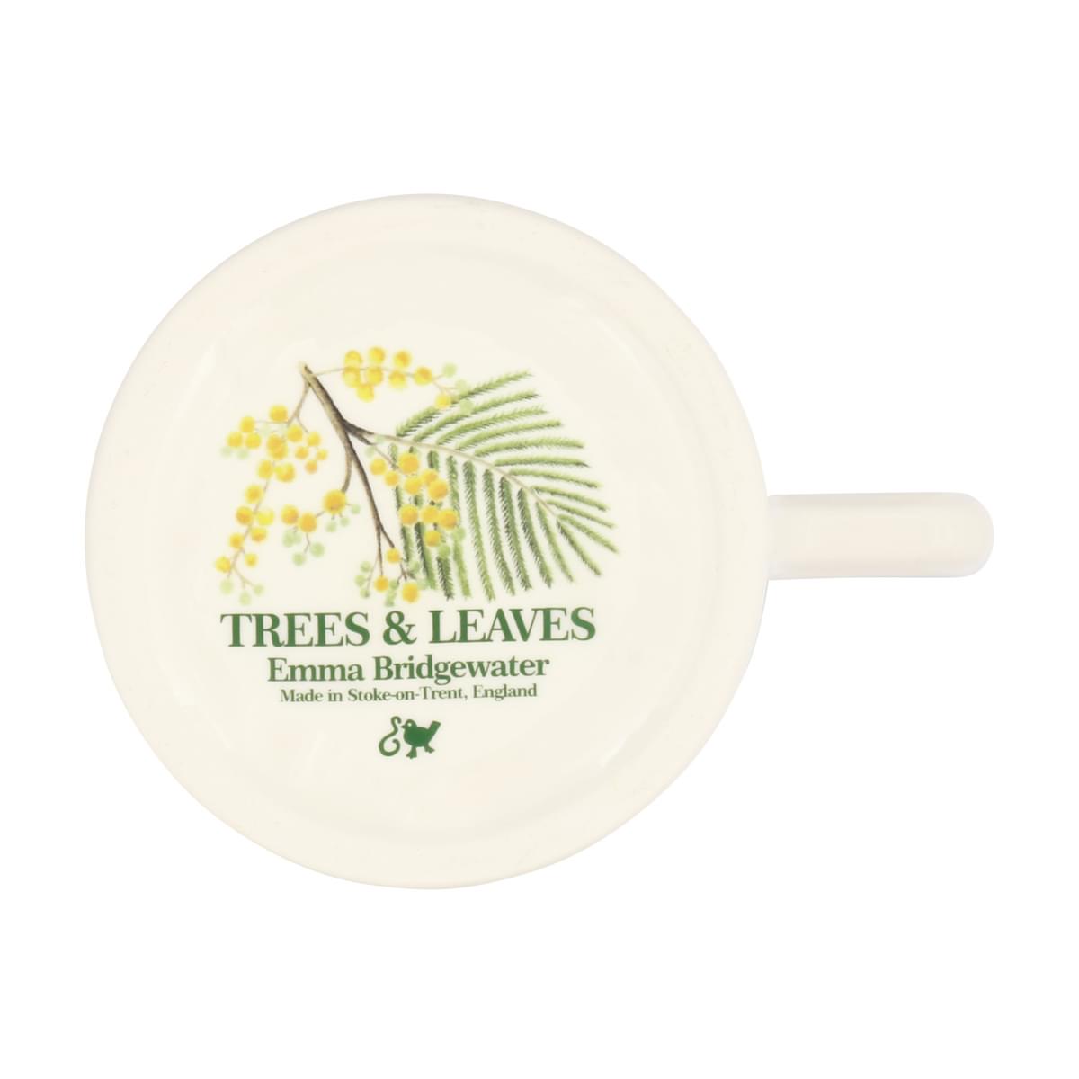 Muki Mimosa