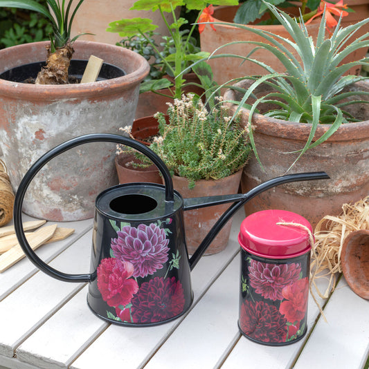 Kastelukannu British Bloom 1 litra
