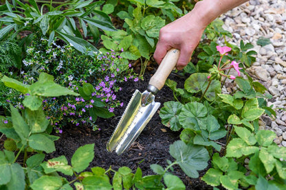 Rikkaruoholapio - Weeding Trowel