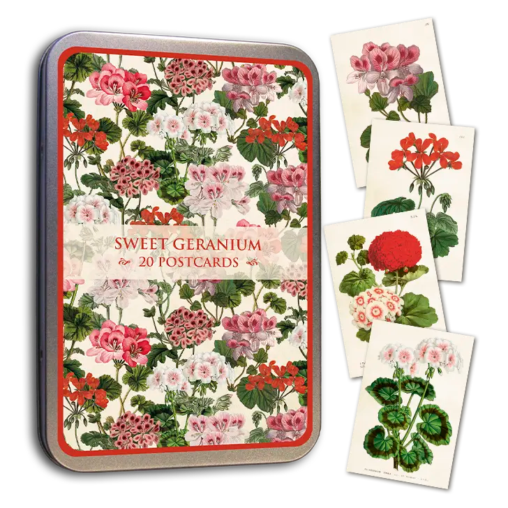 Postikortit peltirasiassa 20 kpl - Sweet Geranium
