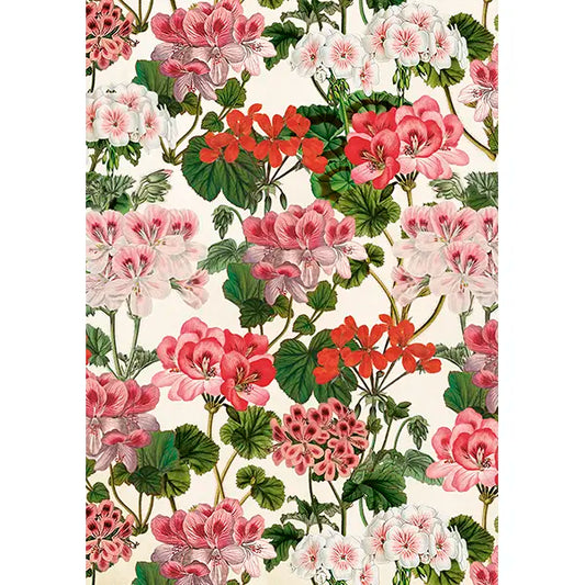 Pelargonit kaksiosainen kortti
