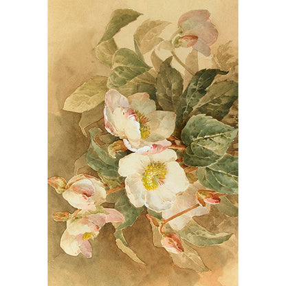 Postikortit peltirasiassa Botanic Winter