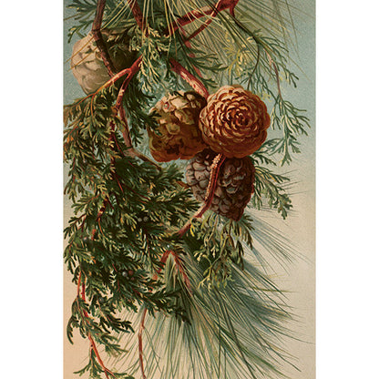 Postikortit peltirasiassa Botanic Winter