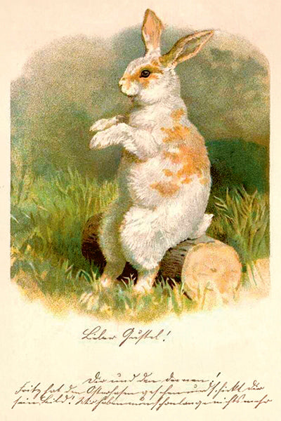 Pääsiäiskortit peltirasiassa 20 kpl - Spring animals
