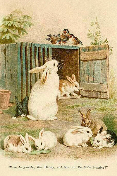 Pääsiäiskortit peltirasiassa 20 kpl - Spring animals