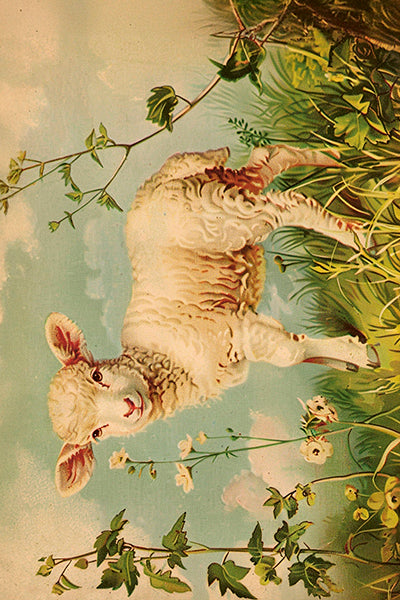 Pääsiäiskortit peltirasiassa 20 kpl - Spring animals