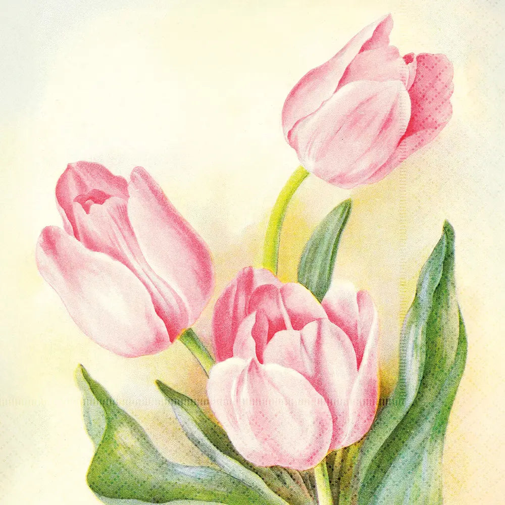 Servetti Tulppaanit