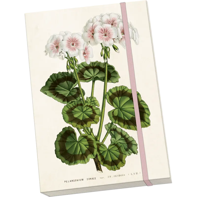 Muistivihko Valkoinen pelargoni A5