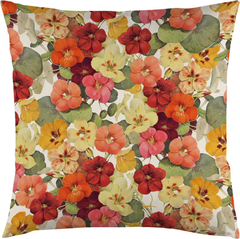 Tyynynpäällinen Krassit  50 x 50 cm