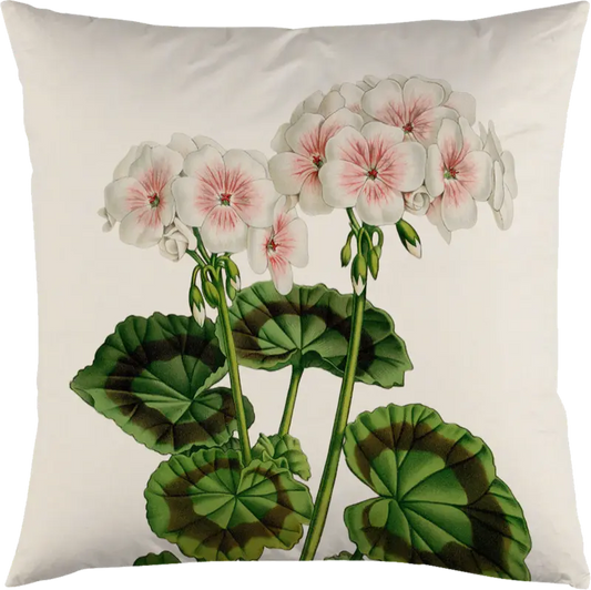 Tyynynpäällinen Valkoinen pelargoni 50 x 50 cm