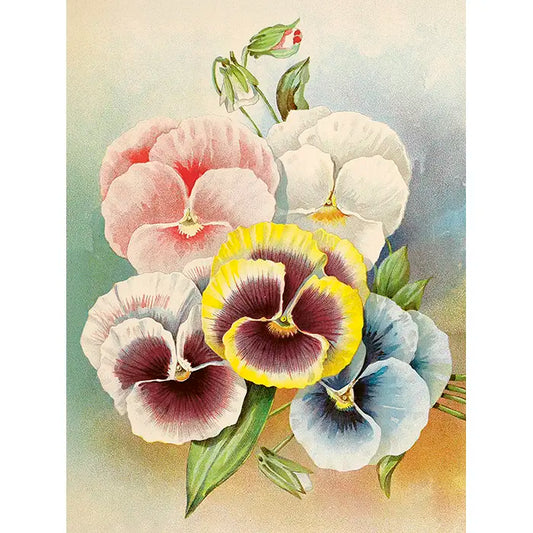 Kasvitaulu Orvokit 18 x 24 cm