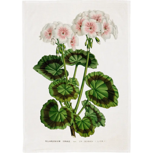 Keittiöpyyhe Valkoinen pelargoni