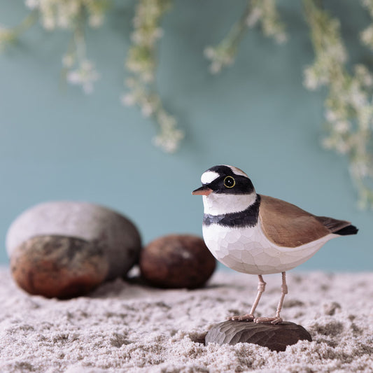 DecoBird Pikkutylli - Little Ringed Plover