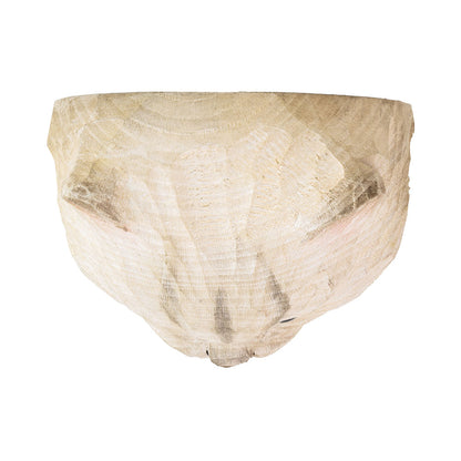 Käsin veistetty seinäkoukku Kissa Persialainen - Persian Cat