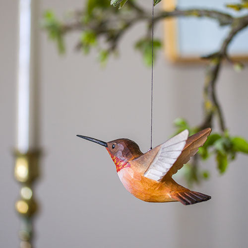 DecoBird Kettukolibri - Rufous Humingbird